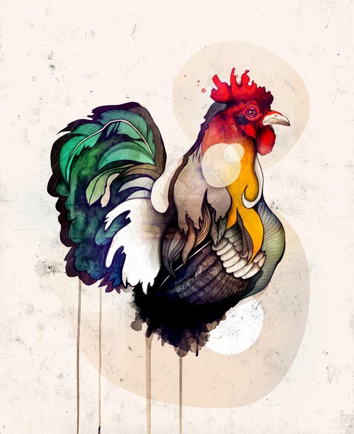 Rooster - Sara Blake