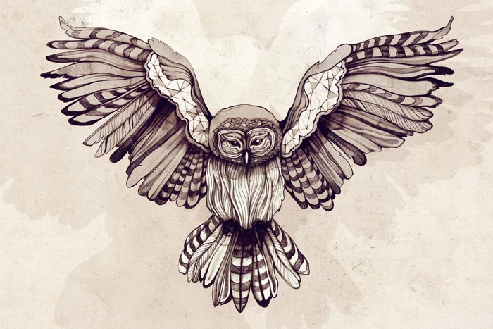 Owl - Sara Blake