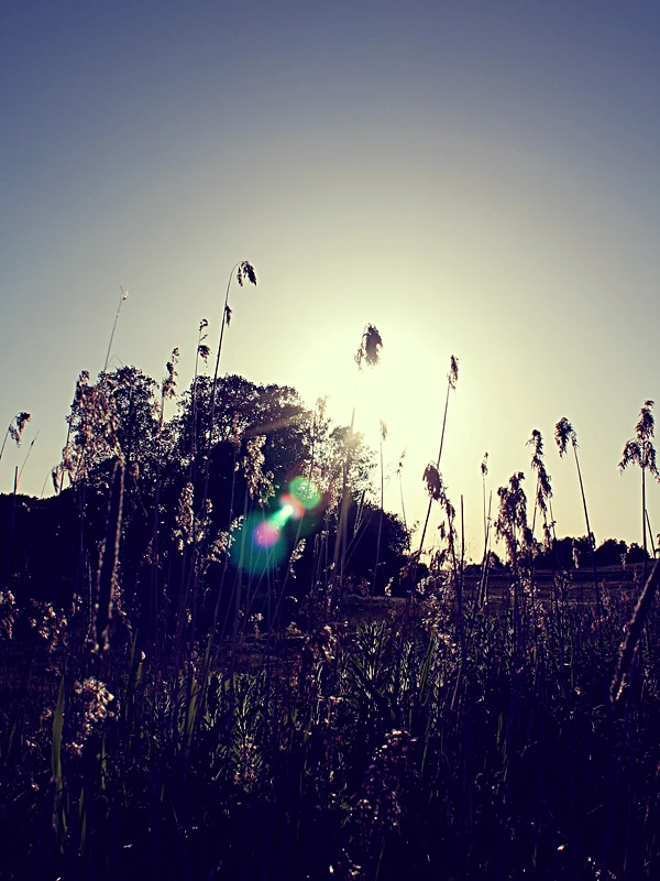 a-new-horizon
