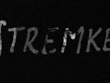 20 Questions #12 with Evan Stremke