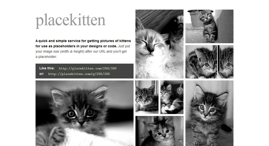 Placekitten