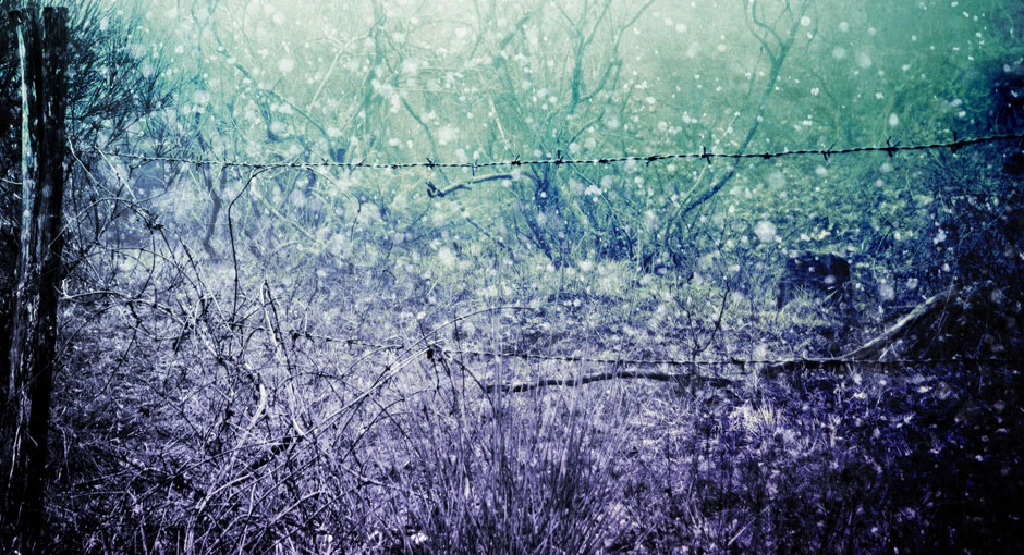 Twisted Winter Wallpaper